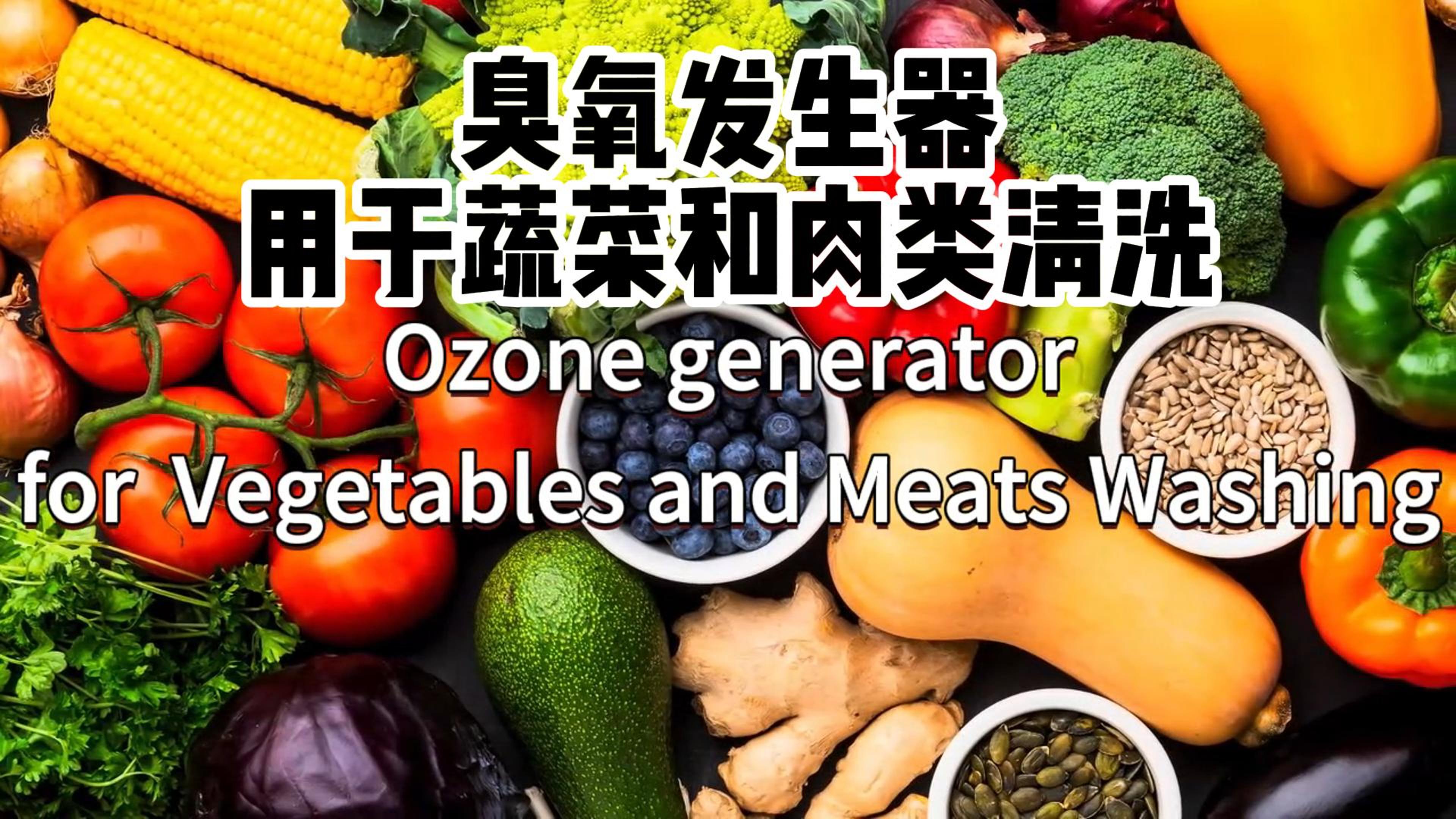 臭氧發(fā)生器在食品加工和儲(chǔ)存過(guò)程中用于蔬菜、水果和肉類的消毒